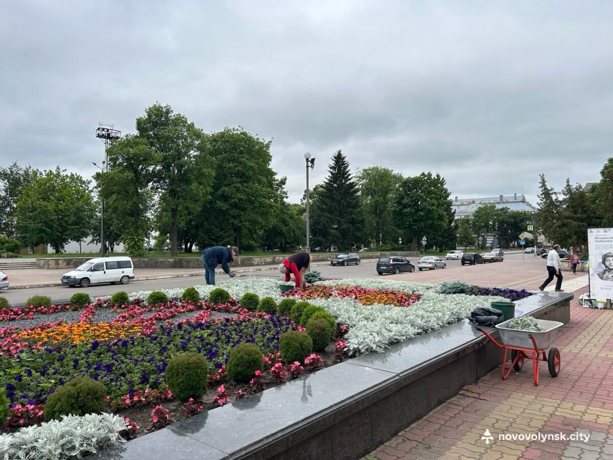 «Місту — 75»: до ювілею Нововолинська створили тематичний квітник