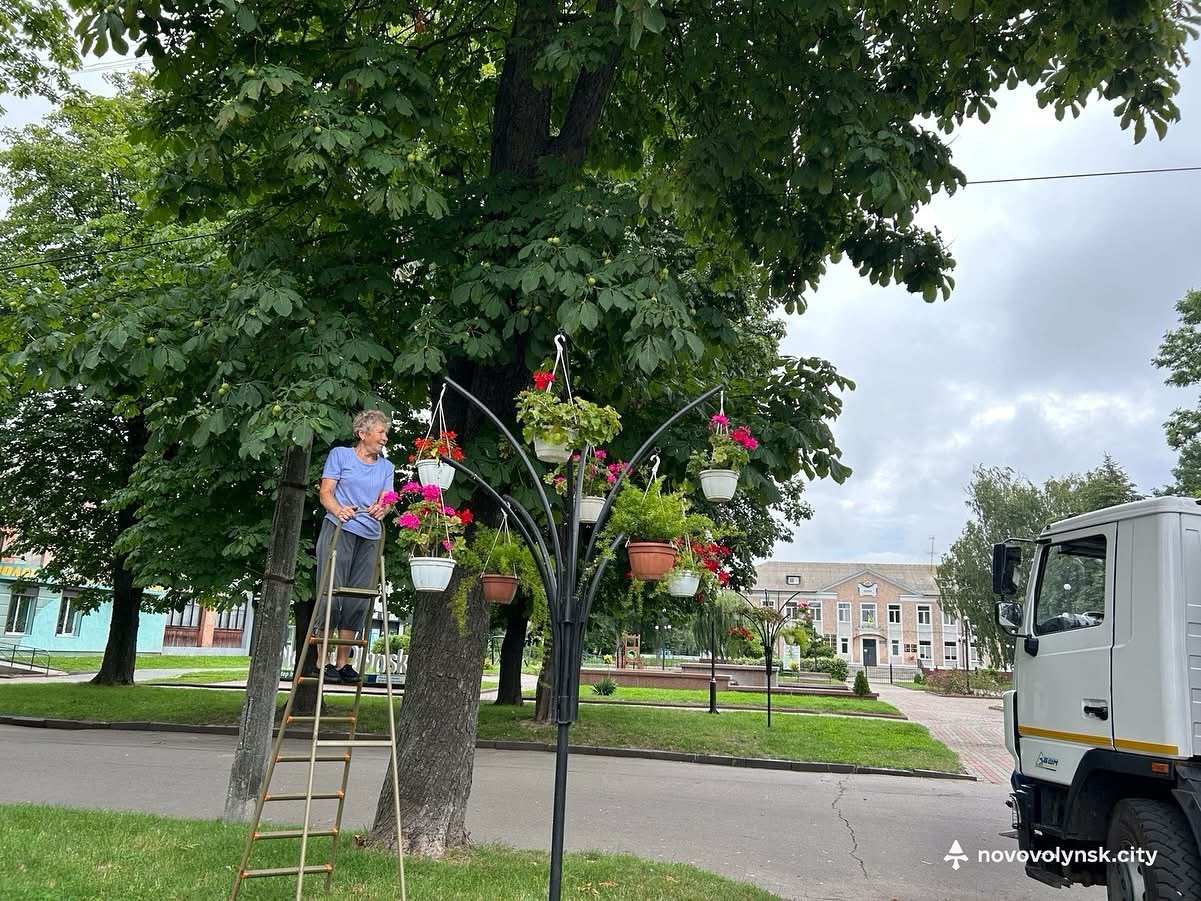 Нововолинськ у квітах: хто дарує місту красу та настрій