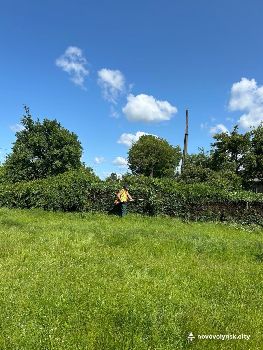 Новий вигляд зеленої зони: біля Символічної могили виконали роботи з формування кущів