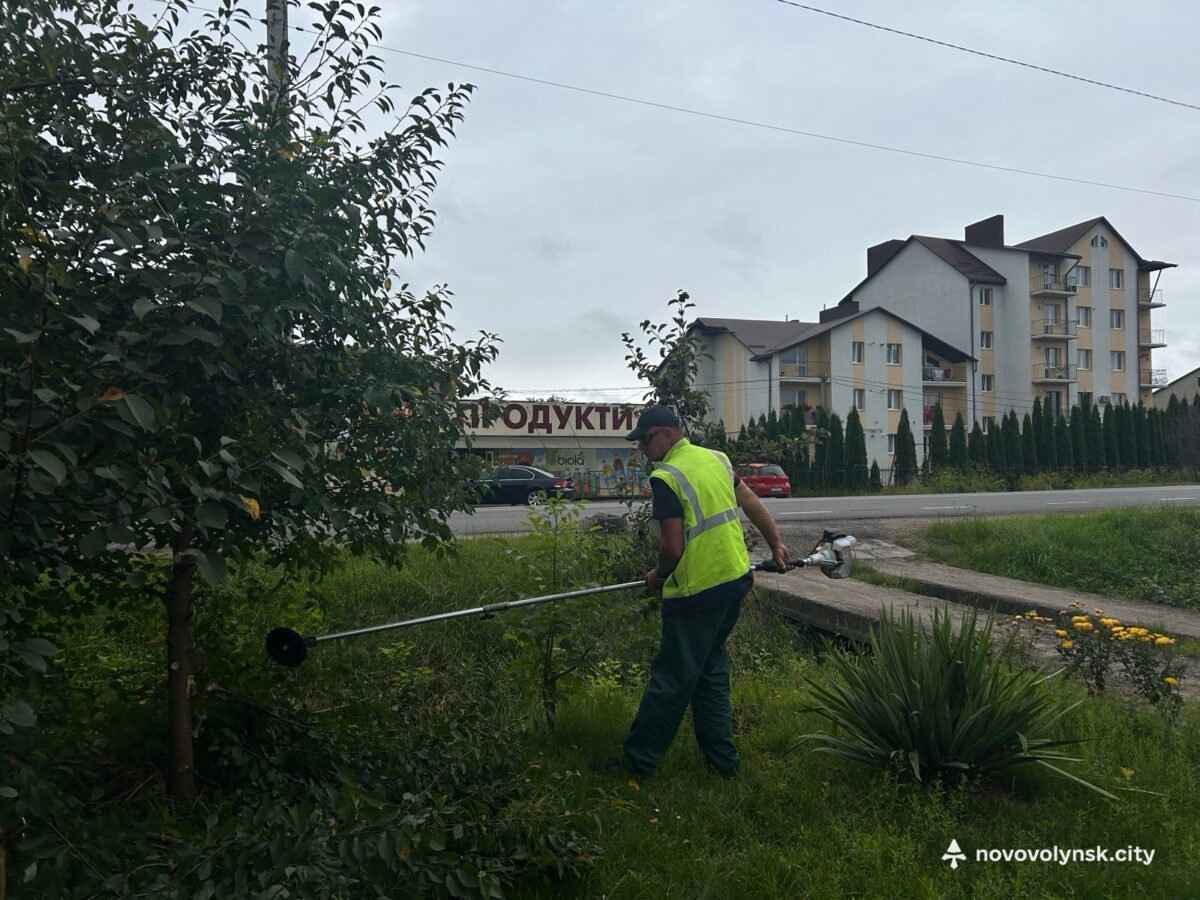 Комунальники впорядковують територію та розчищають зливову каналізацію