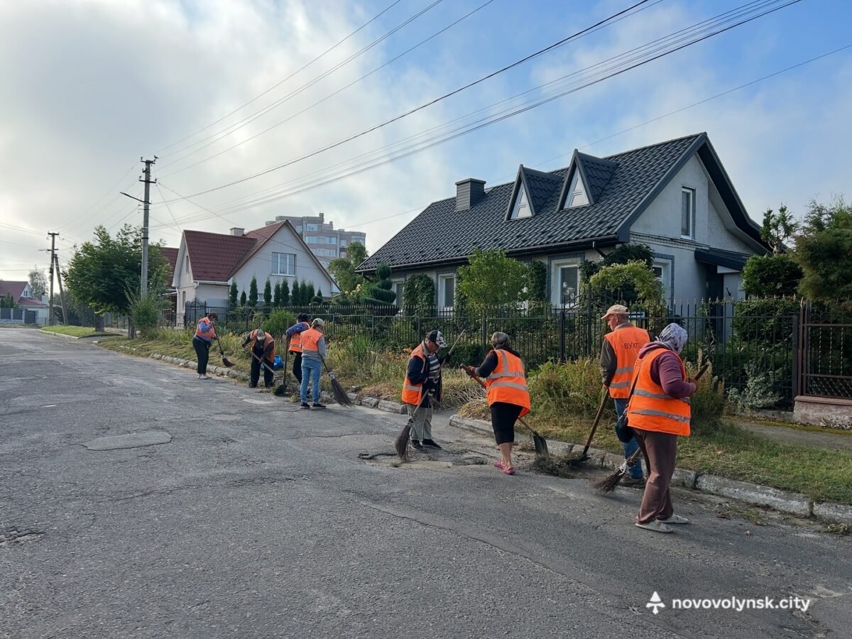 Комплексне прибирання на вулиці Кобзаря