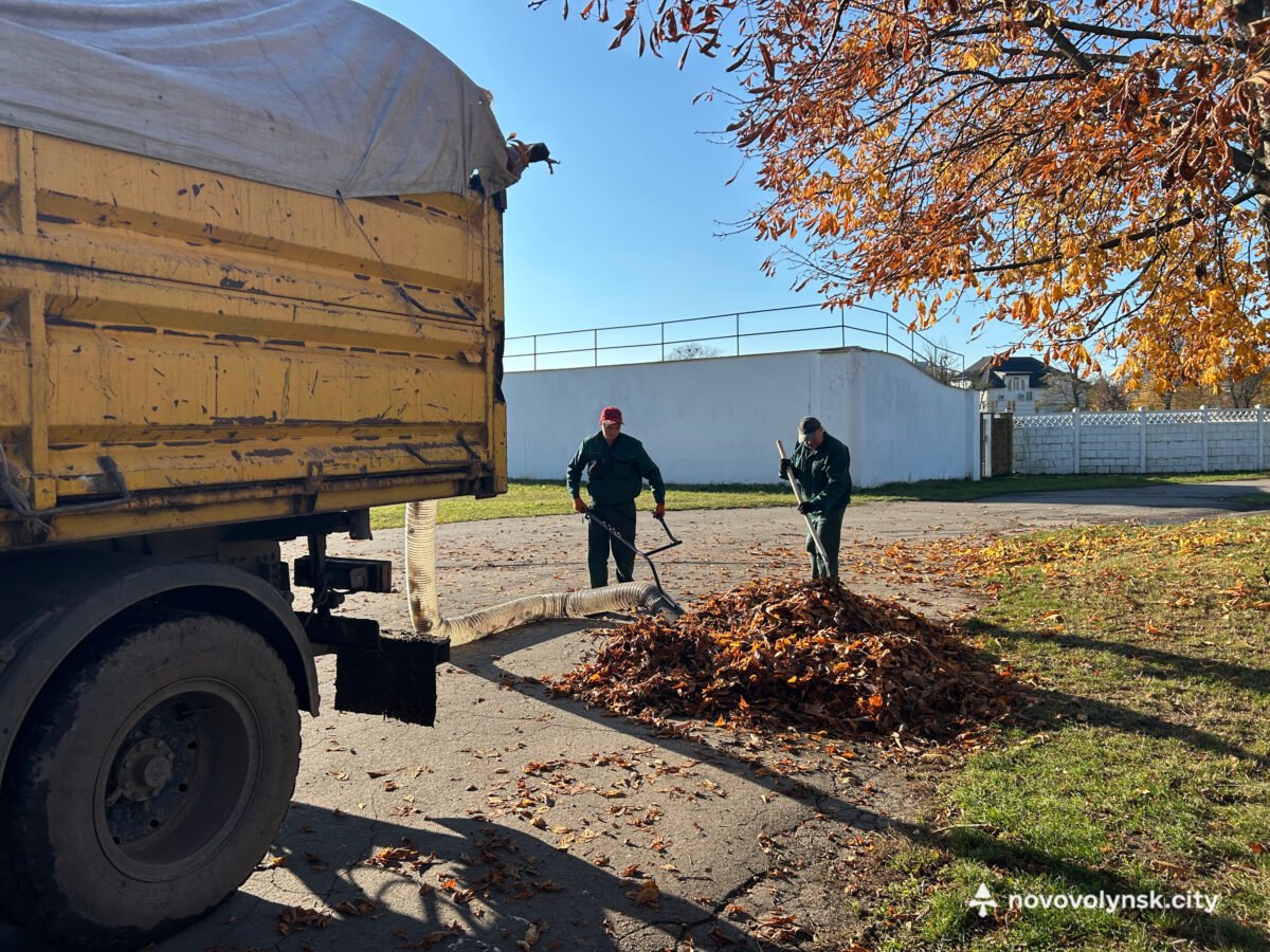 Осіннє прибирання у міському парку
