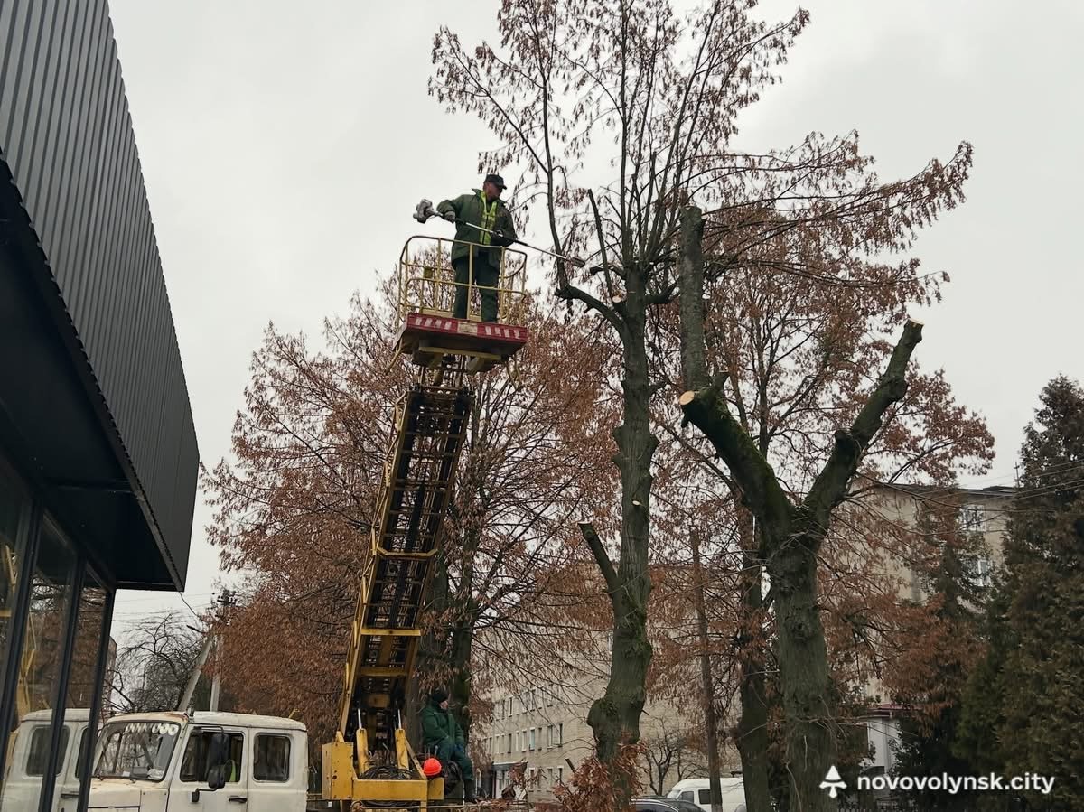 На вулиці Нововолинській провели планове видалення аварійних дерев