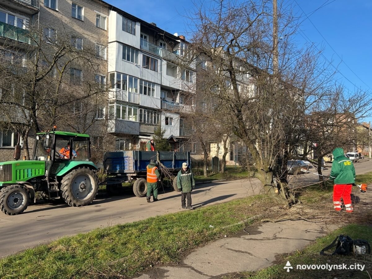 У Нововолинську провели санітарну обрізку дерев