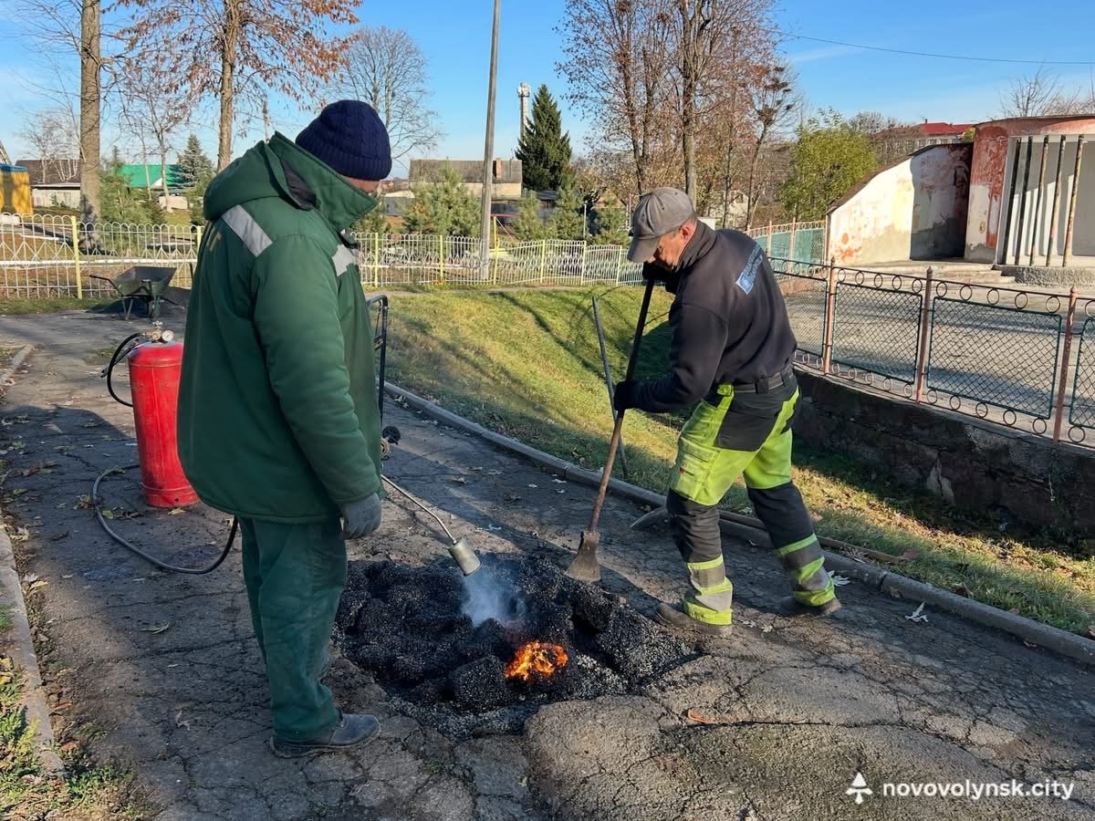 У міському парку встановили новорічну ялинку: ВУКГ підготувало територію до свят