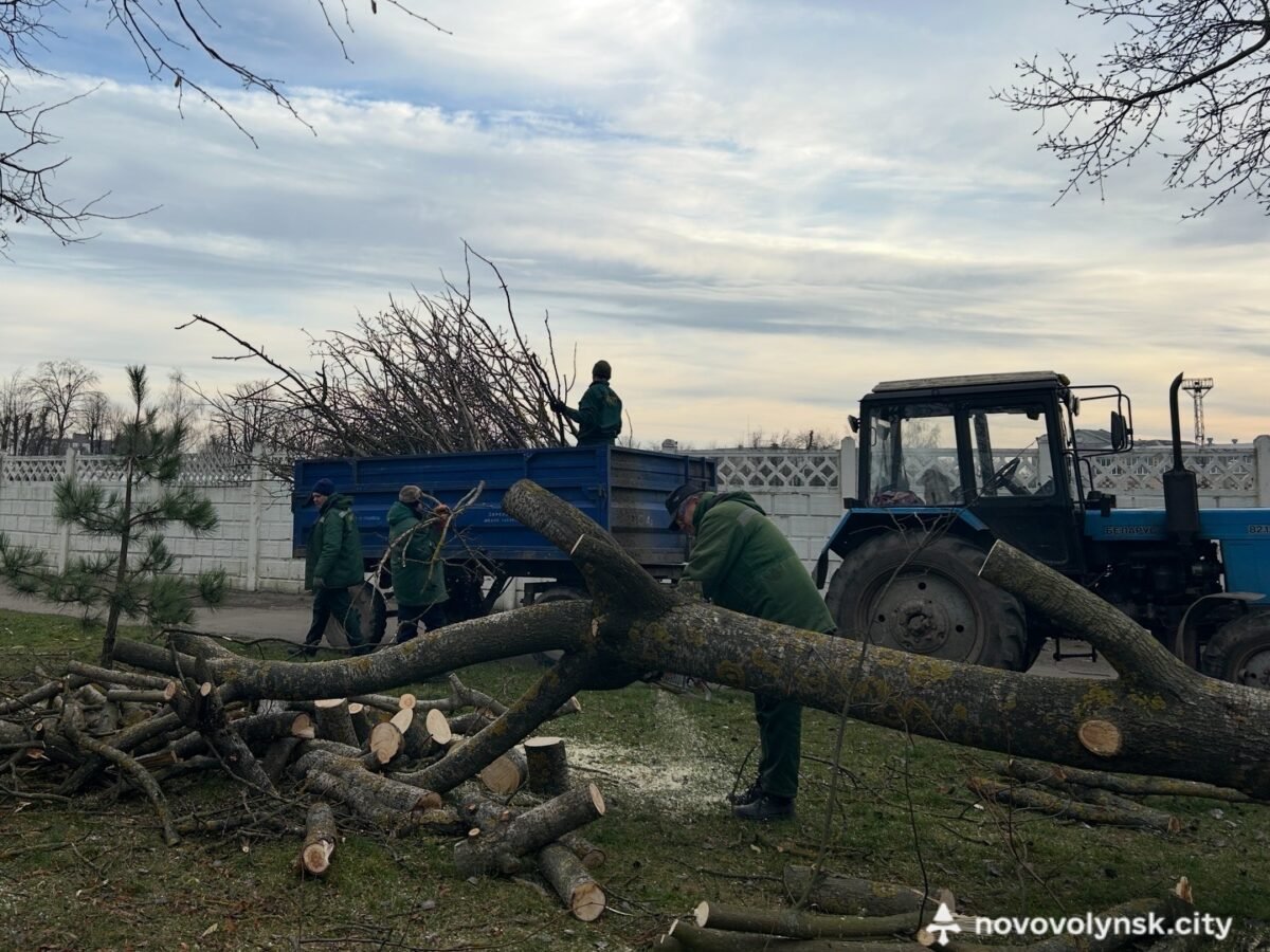 У міському парку фахівці ВУКГ видаляють аварійні дерева