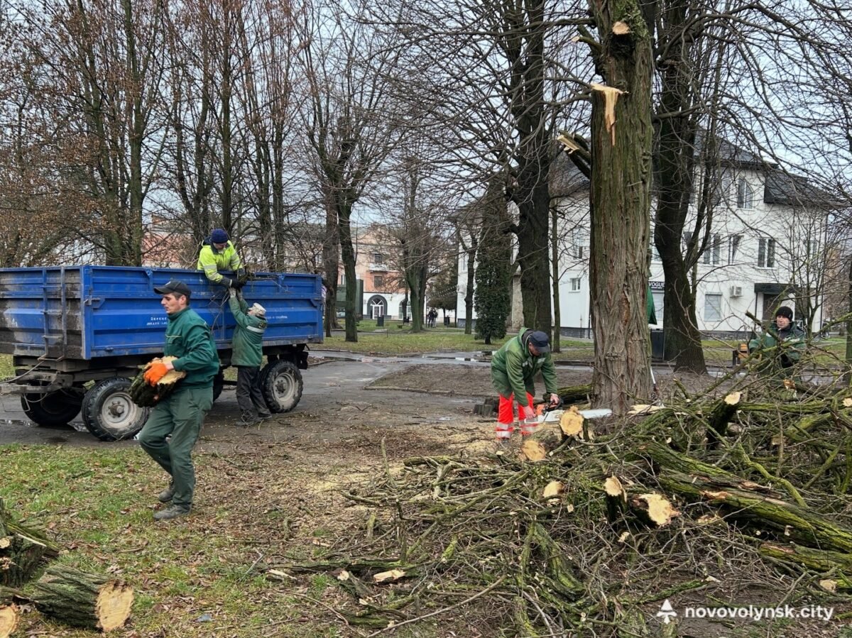 У Сквері Ветеранів провели планові роботи з догляду за зеленими насадженнями